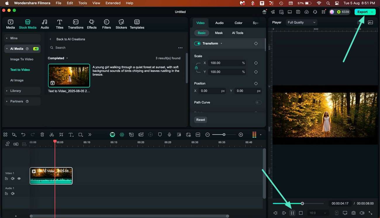 preview results and export filmora mac