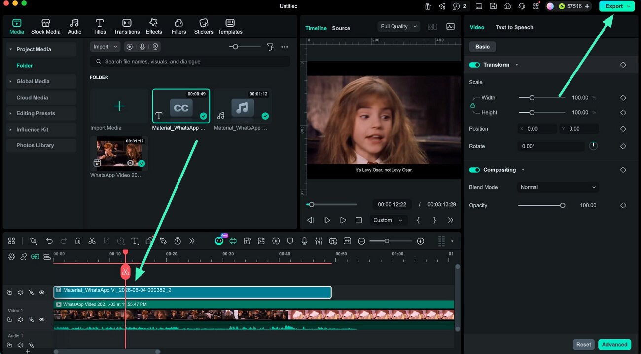 export translated video on mac