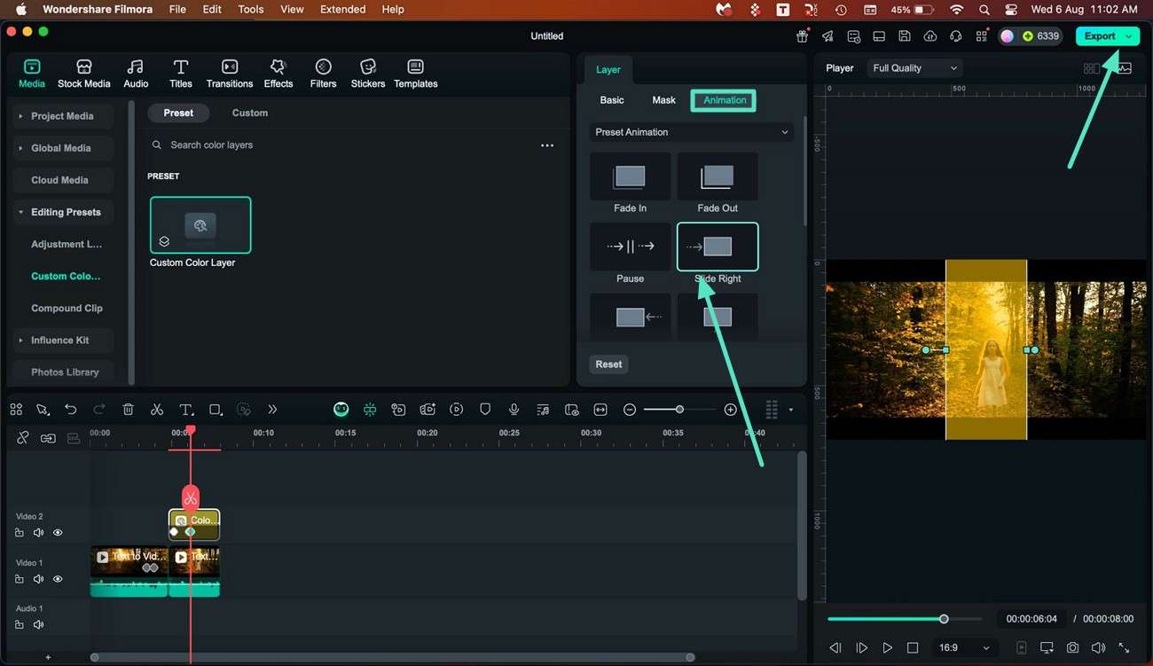 animate layer and export