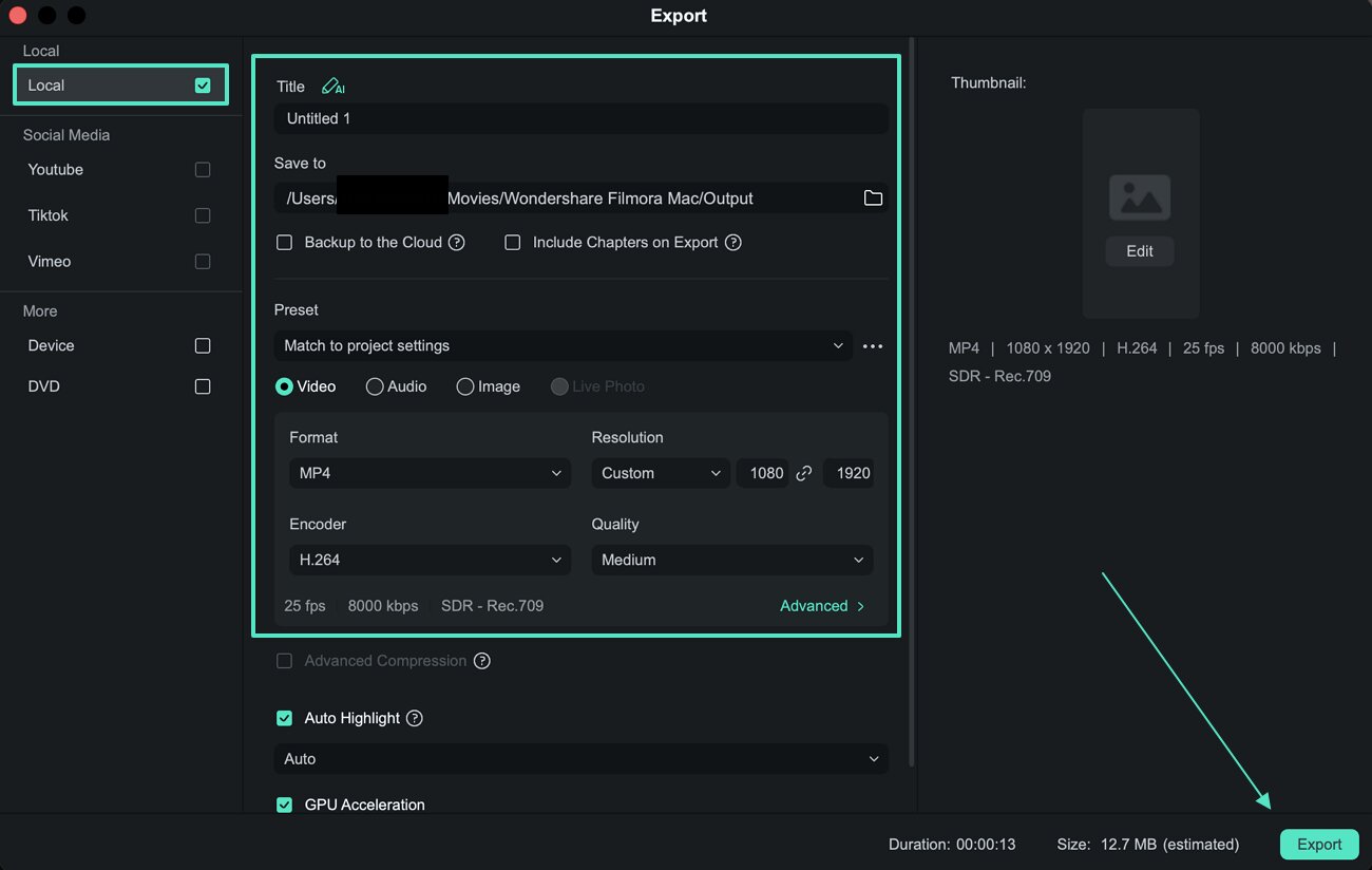 set local video export options