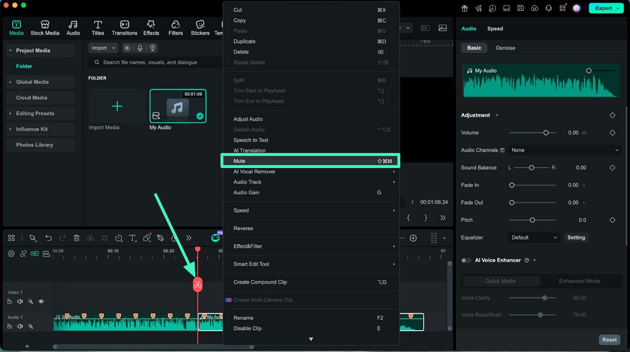 mute selected audio section mac