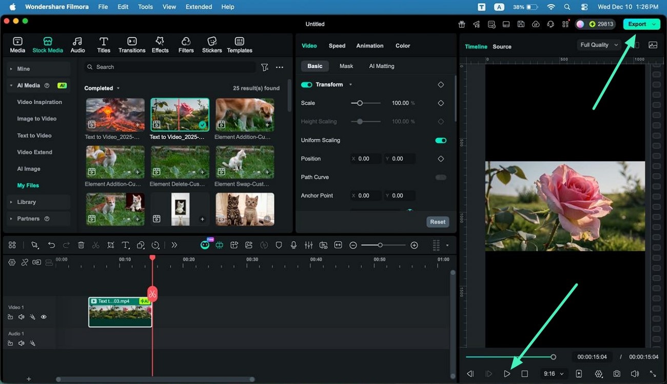 preview video then export
