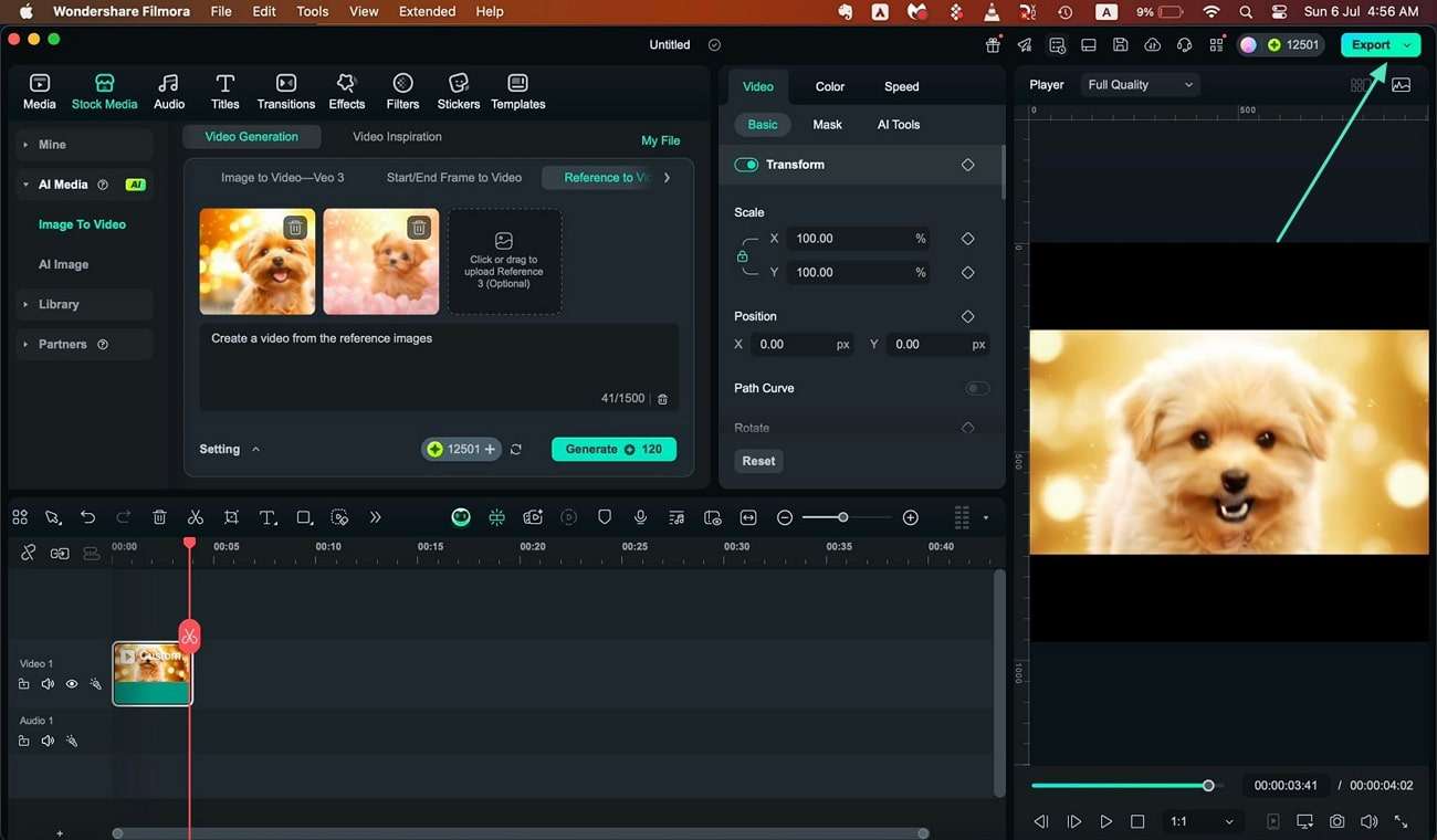 export reference to video filmora mac