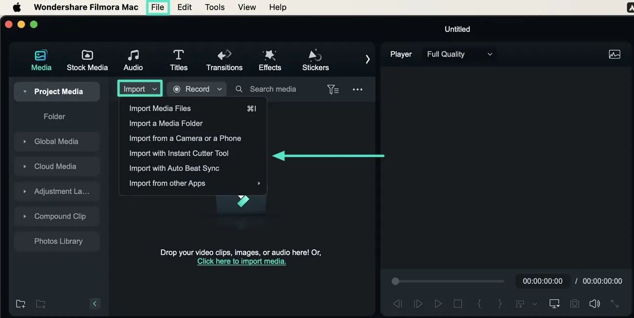 import video to filmora