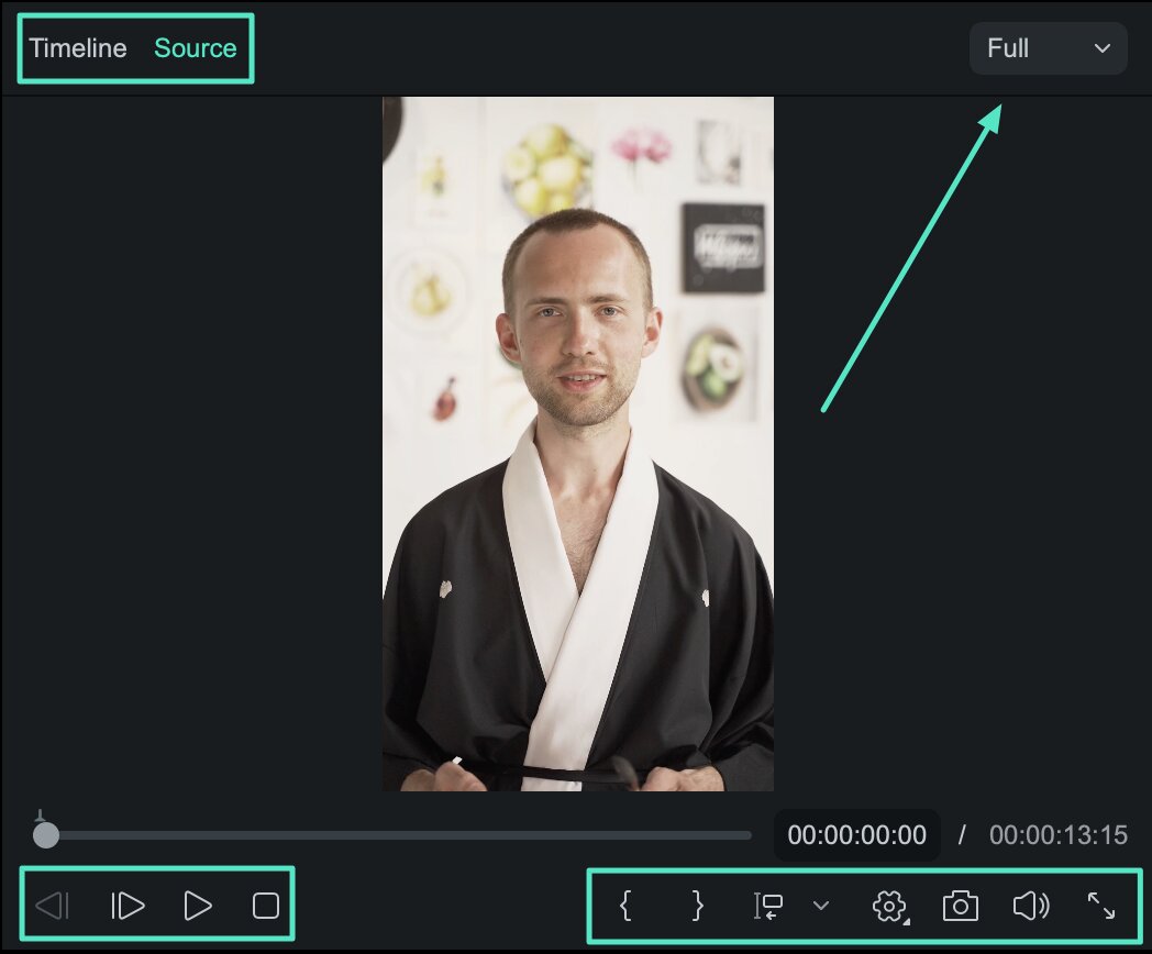 Player Panel options in Filmora for Mac
