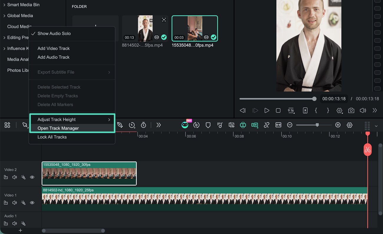 configure multiple timeline tracks