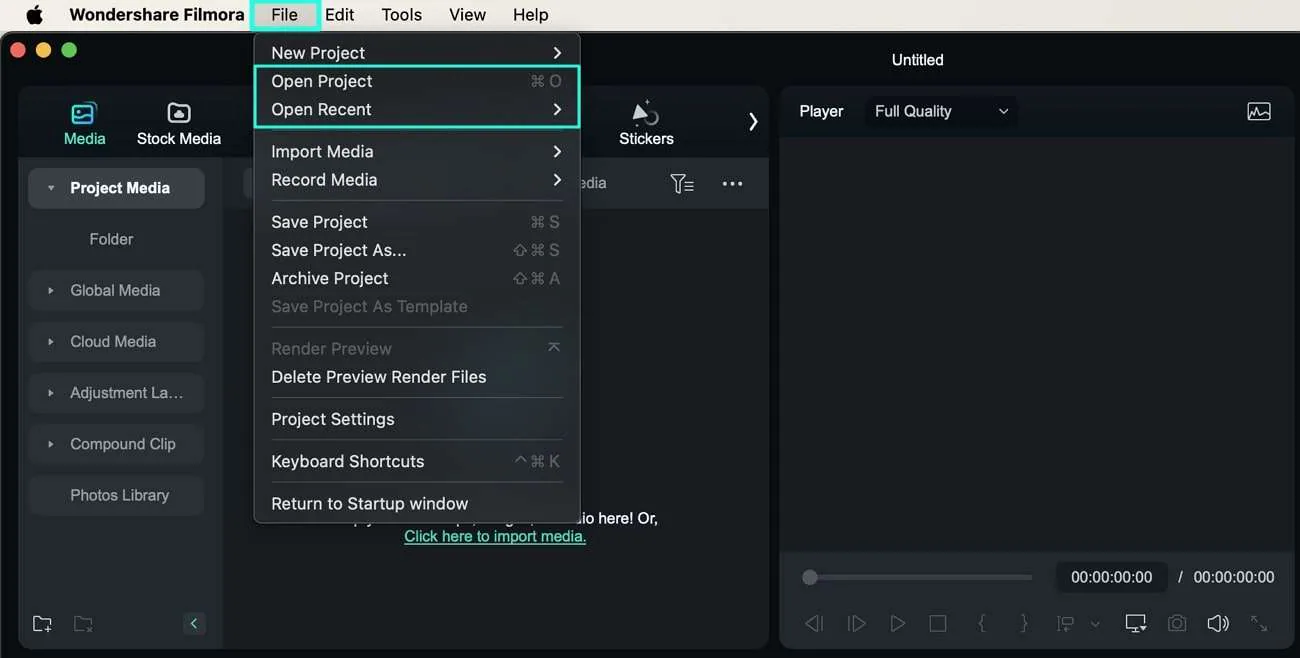 Open an Existing Project in Editing Panel