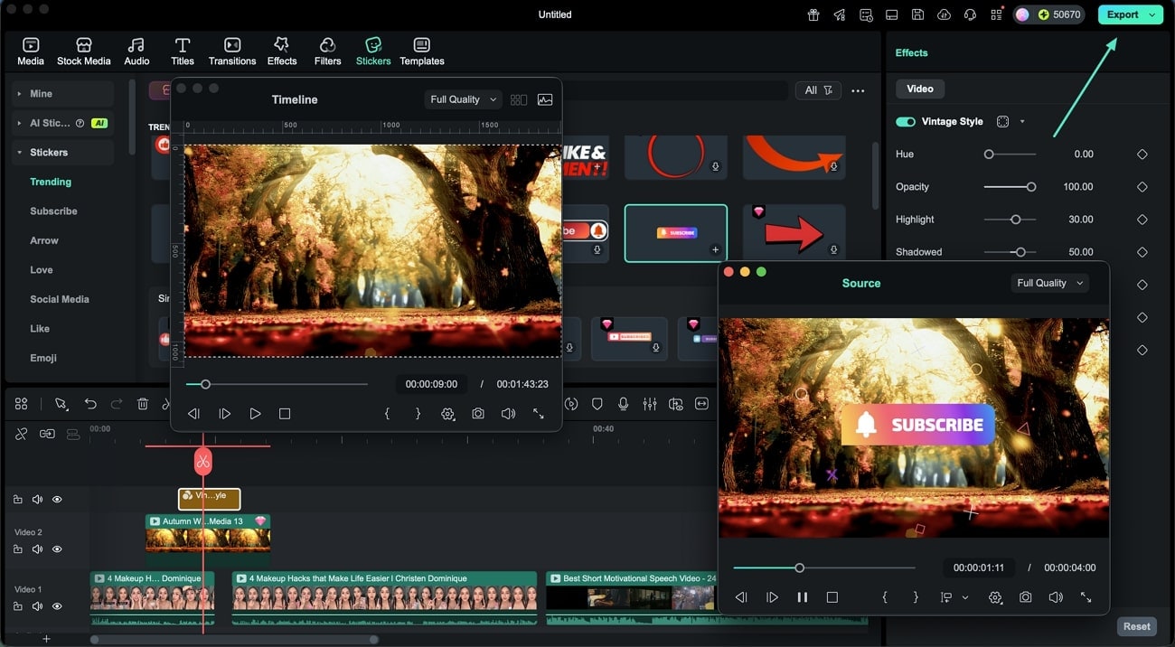 apply assets and save filmora