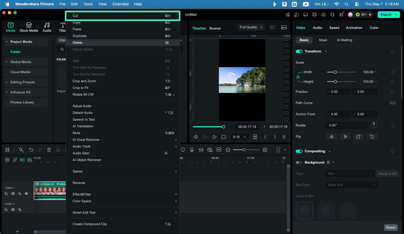 remove unwanted video section