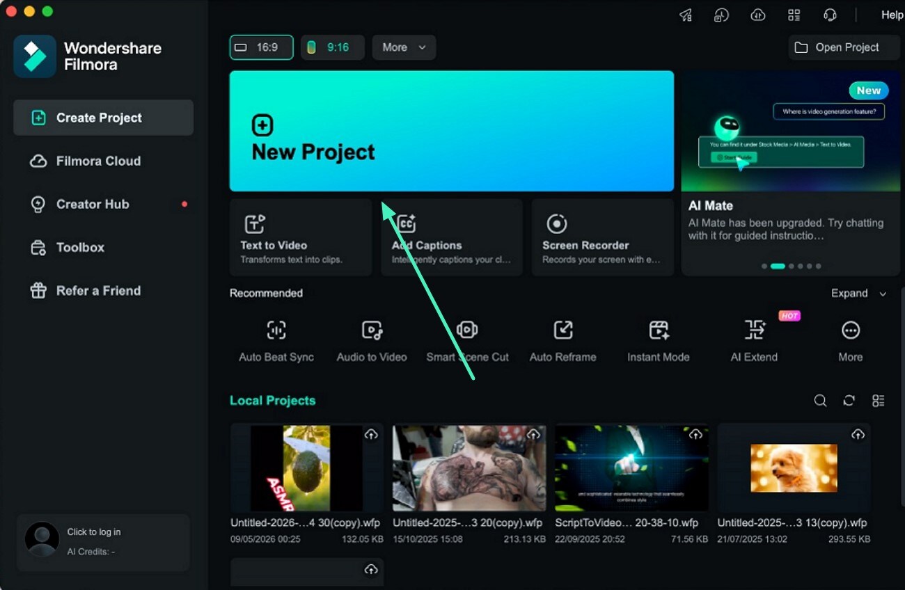 import video into new project