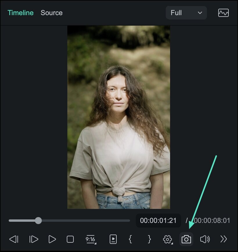 select snapshot button