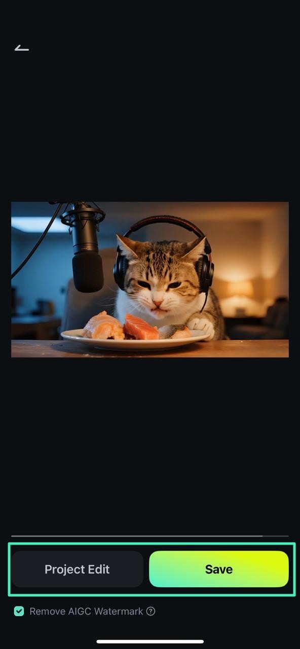 project edit or save