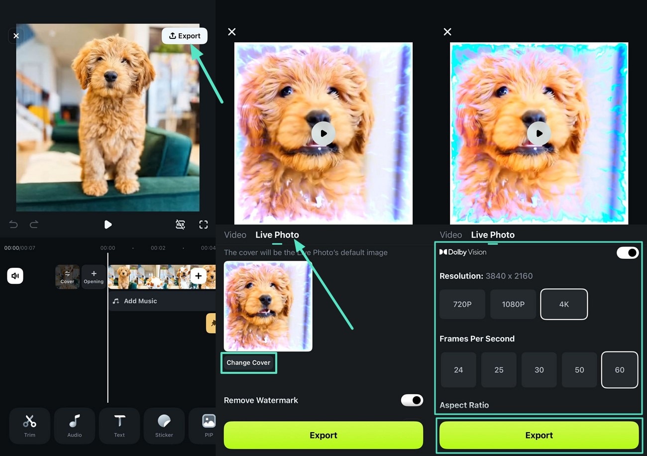 select live photo export high-quality