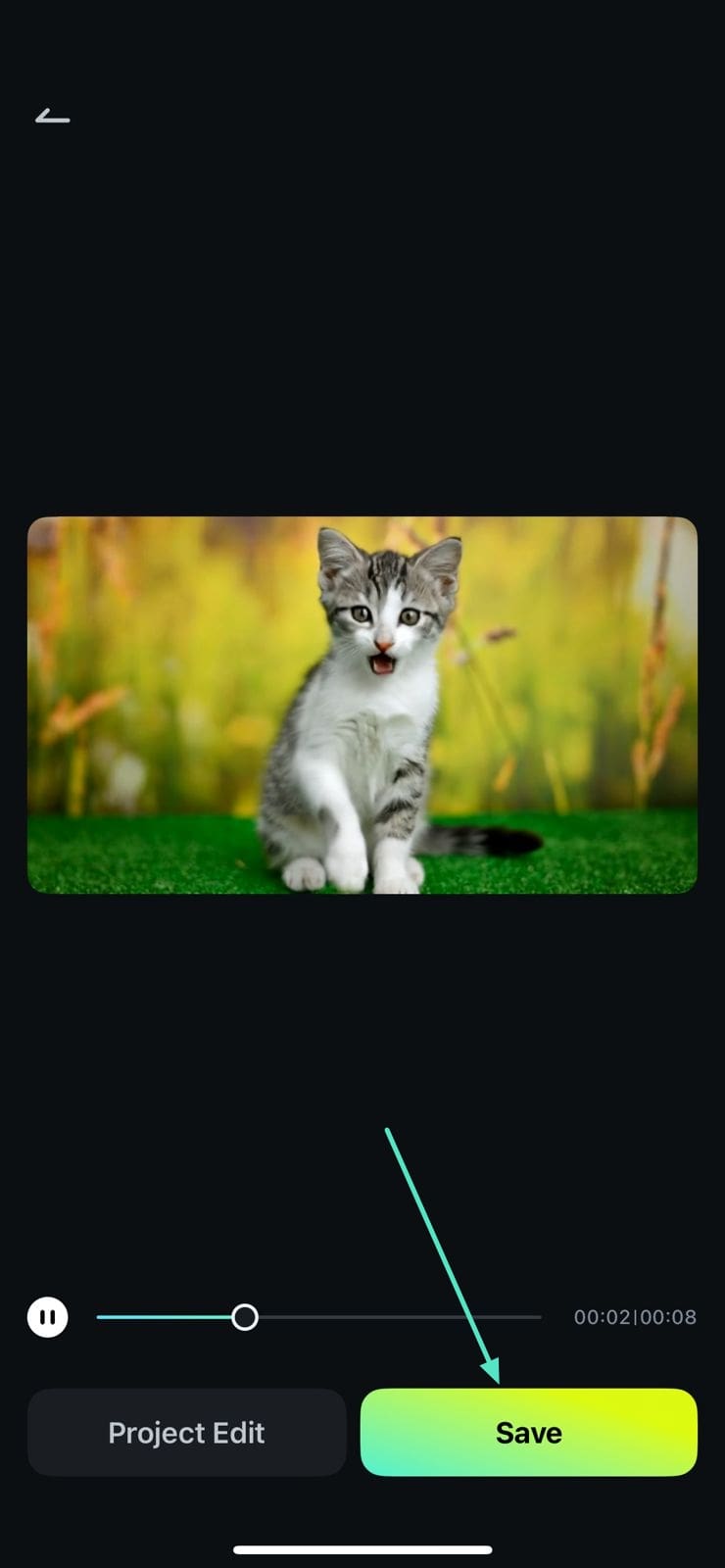 export content to phone