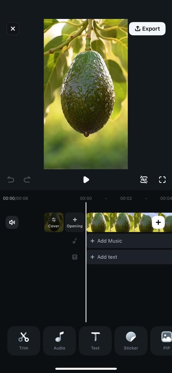 import video perform editing