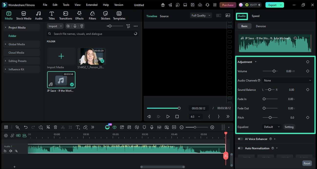 enable audio adjustment option