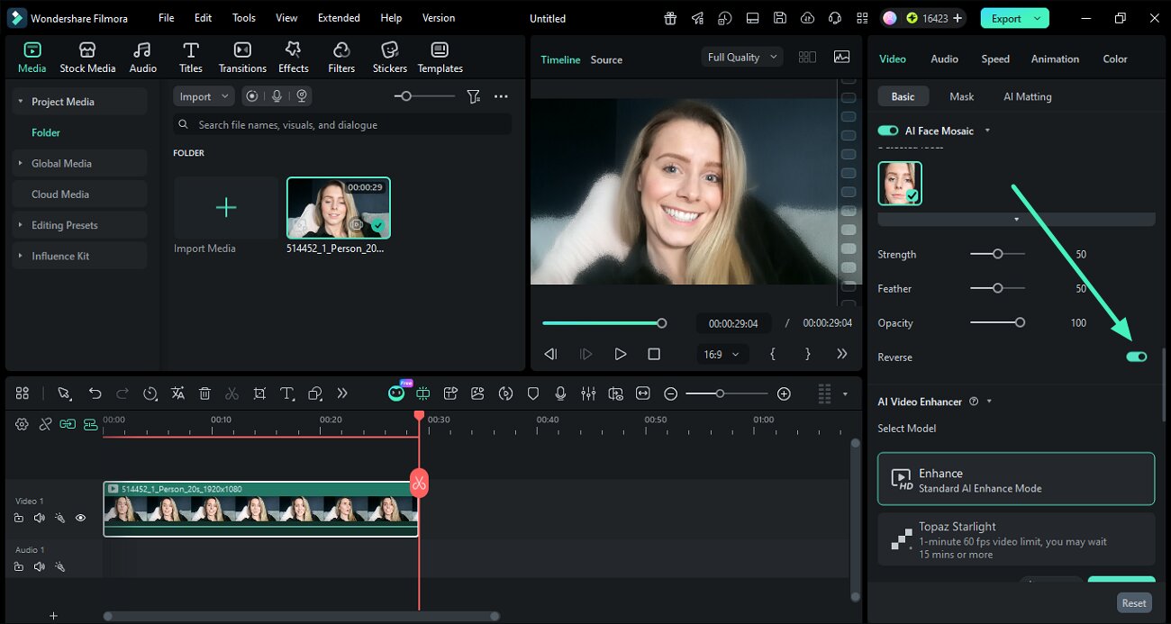 access toolbox choose ai face mosaic