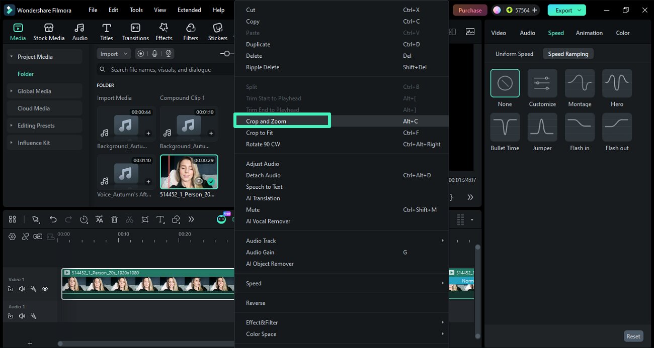 open pan zoom tool