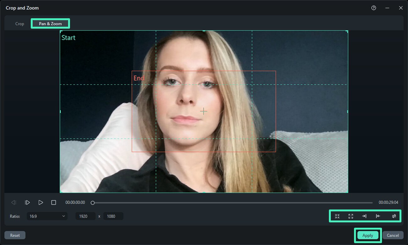 pan zoom settings panel