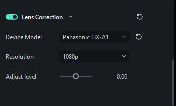 remove applied lens correction