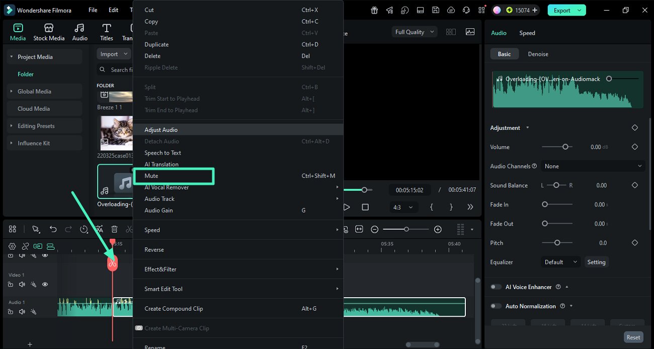 mute a specific audio section