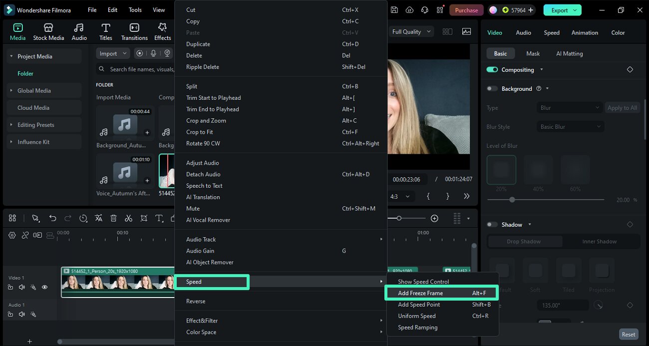 add freeze frame option