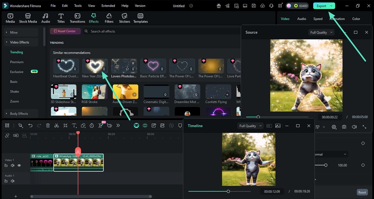 apply effect preview in source window