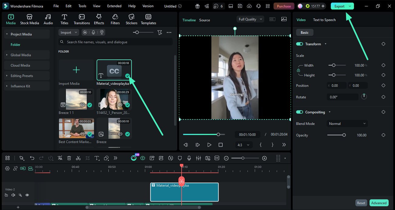 preview subtitles and export video