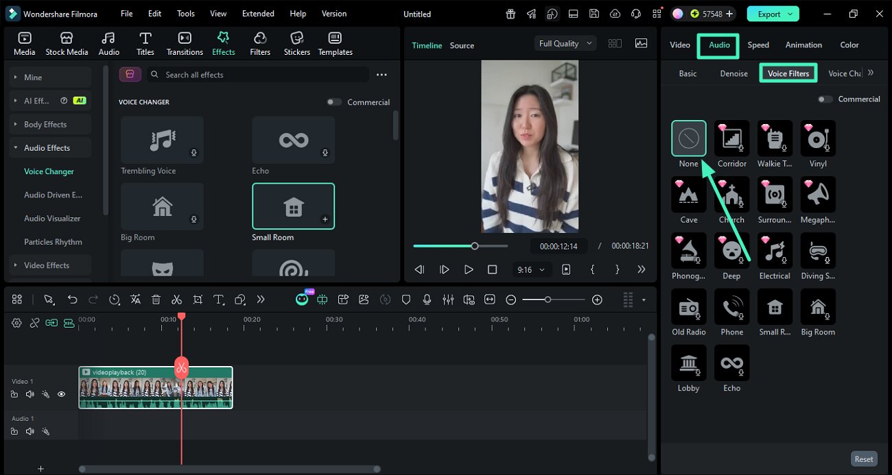 customize voice filters in filmora