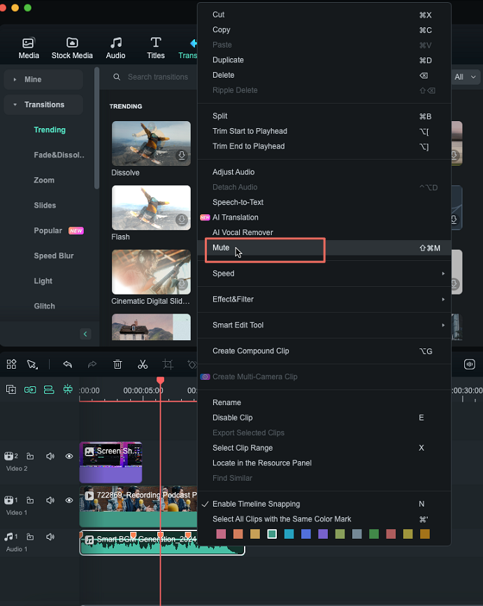 mute the audio of video clip