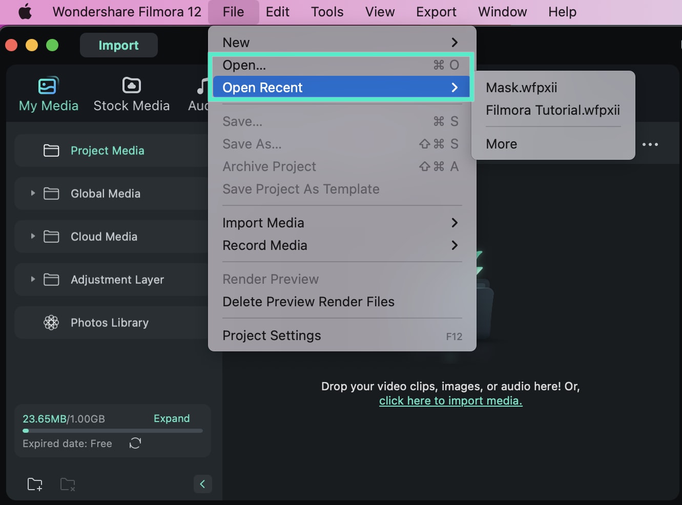 Open an Existing Project in Editing Panel