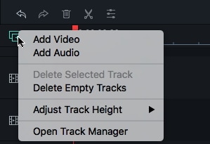   Filmora 9 Mac Track Manager