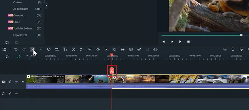 trim video on timeline