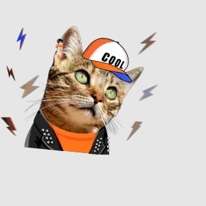 cool cat meme sticker