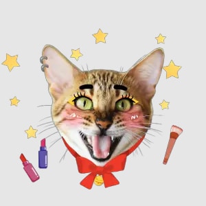 funny cat meme sticker
