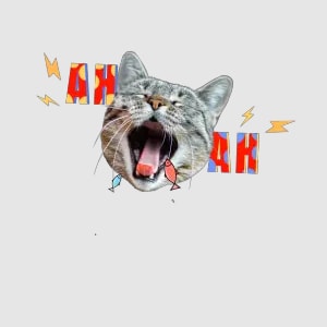 happy cat meme sticker