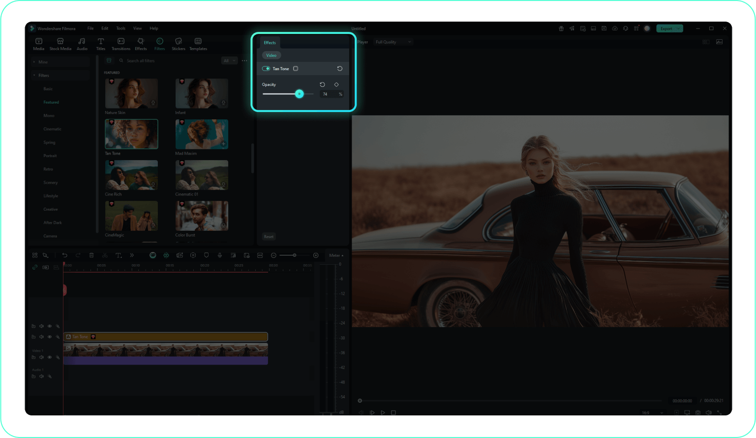 add the filter to video