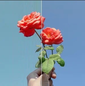 summer view filter
