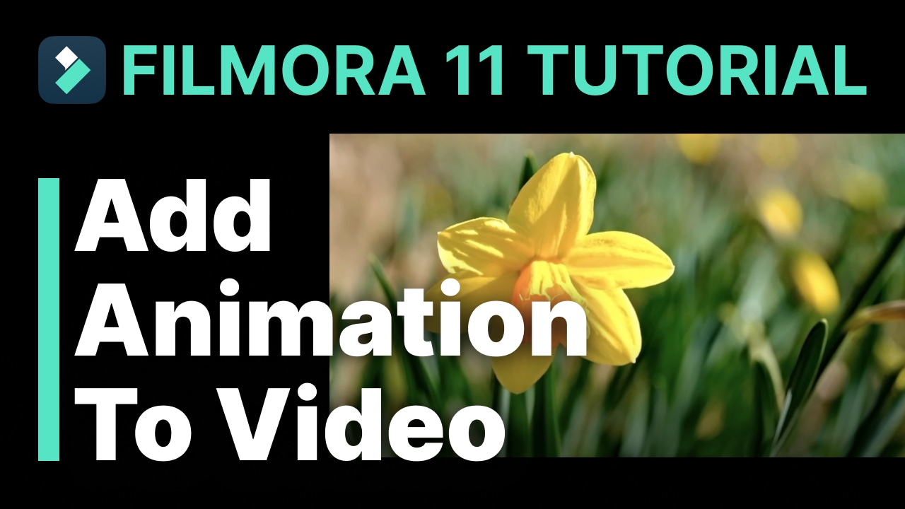 Animation zum Video hinzufügen