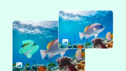AI Photo Object Remover