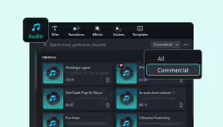 Commercial Audio Filter