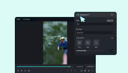 Customizable Backgrounds for Videos and Images