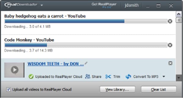 realplayer not downloading youtube videos