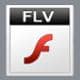 FLV video format