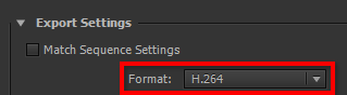 Come posso modificare il mio file MP4 con Adobe Premiere in diversi modi