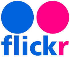 Plataformas para compartir videos-Flickr