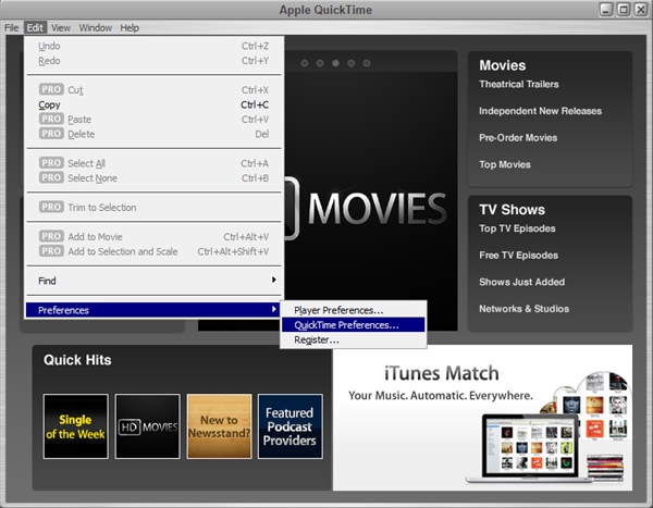 torrent quicktime mpeg-2 playback component