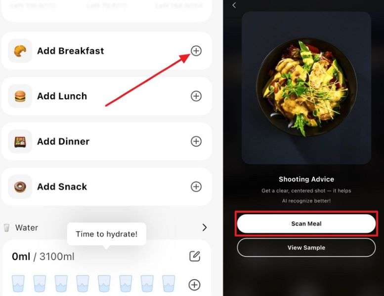 start scanning your meal