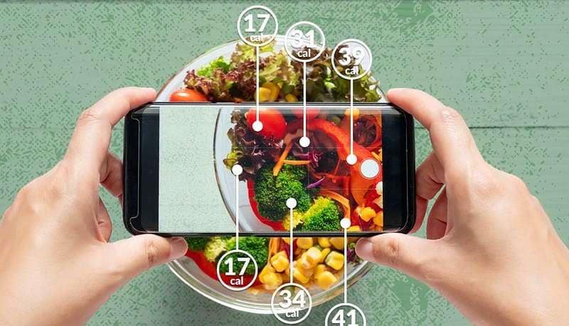 factors affecting calories in a lunch