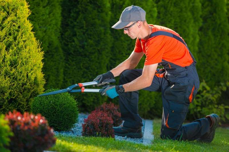 house cleaning or yard work